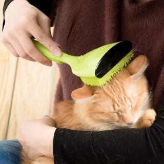 專利點點按摩寵物梳(綠色款-一般毛量)