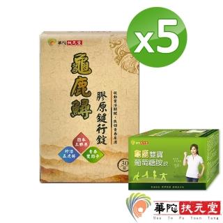 【華陀扶元堂】龜鹿鱘膠原鍵行錠5盒(30錠/盒+贈龜鹿雙寶葡萄糖胺飲1盒)