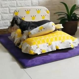 【May Shop】可拆洗寵物窩比熊公主狗狗床中小型犬貓窩