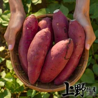 【上野物產】任選 紫皮栗香地瓜 x1包(300g土10%/包 烤熟可即食 素食 低卡)