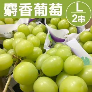 【甜露露-中秋禮盒】日本麝香葡萄L 2串(591-660g/串)