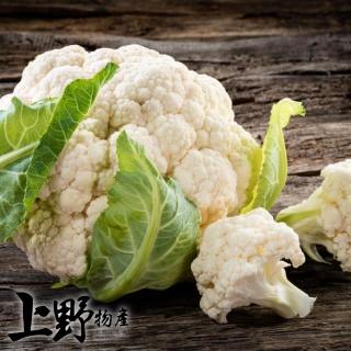 【上野物產】白花椰菜切塊 x3包(500g±10%/包 冷凍蔬菜)