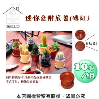 【蔬菜工坊】迷你盆附底盤  磚紅-10個/組