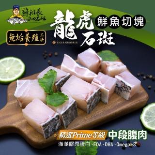 【蘇班長安心石斑】龍虎石斑鮮魚切塊300g 6入組 歐盟食安標準 得獎最多的石斑(通過清真認證 純鑽石水養殖)