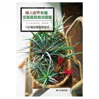懶人植物新寵：空氣鳳梨栽培圖鑑