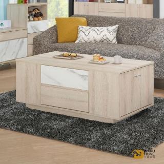 【WAKUHOME 瓦酷家具】Frances時尚大理石紋大茶几 A003-440-1