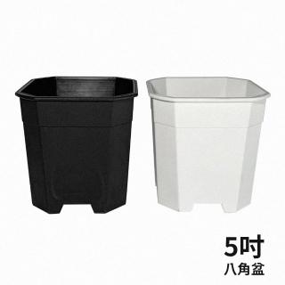 【生活King】5吋八角塑膠花盆(3入組)