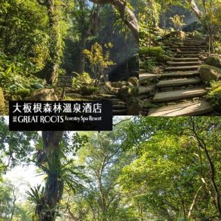 【三峽大板根】三峽大板根森林遊園門票一組4張(限量搶購)