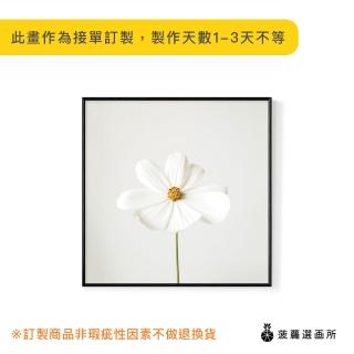 【菠蘿選畫所】白色小雛菊-60x60cm(畫/沙發背景/掛畫/海報/方形掛畫/小雛菊/複製畫)