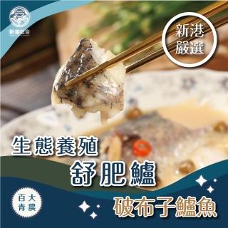 【新港社合 X 一把青】生態養殖舒肥鱸220g/片-破布子 4片/組(漁民直營 產銷共贏 百大青農)