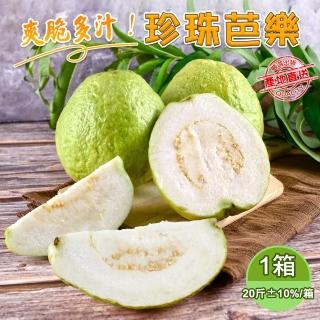 【產地直送】爽脆多汁珍珠芭樂20斤x1箱(維生素C營養滿滿)