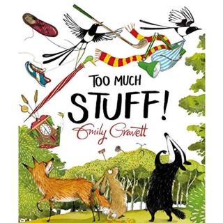 【Song Baby】Too Much Stuff ! 太多東西了!(精裝繪本)