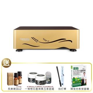【BODYGREEN】高效型全身垂直律動機 AM1(即日起限時加碼再送1年保固 3MM垂直振幅)