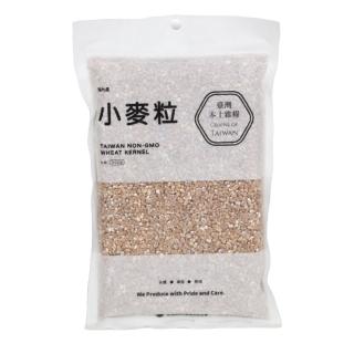 【南畝王生技】中都小麥粒-台中選二號(500G/包)