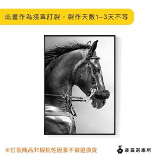 【菠蘿選畫所】安達盧西亞馬 -42x60cm(馬/客廳佈置/家居佈置/臥室背景/動物掛畫/複製畫)