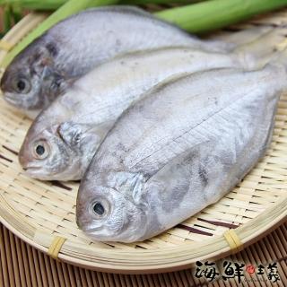 【海鮮主義】布袋鮮撈肉質魚8包(480g±10%/包 約5-6尾/包)