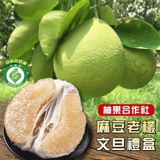 【柚果合作社-中秋禮盒】產銷履歷認證麻豆40年老欉文旦禮盒5斤4-6顆x1箱(老欉文旦送禮最讚)