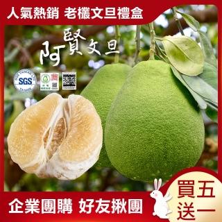 【柚見阿賢-中秋禮盒】正宗台南麻豆60年老欉文旦禮盒5斤5-8顆x6盒(老欉文旦送禮最讚)