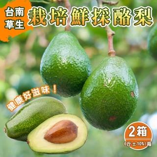 【產地直送】台南草生栽培鮮採酪梨6斤9-12顆x2箱(金氏世界紀錄最營養水果-酪梨)