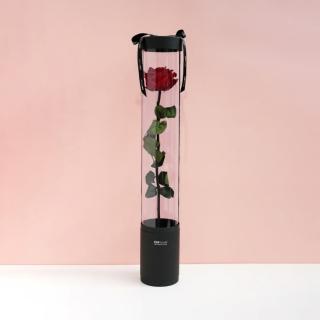 【CNFlower 西恩】玫瑰宣言-櫻桃紅(送禮/買花/恆星花/花禮)