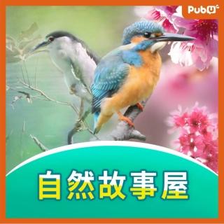 【Pubu】自然故事屋（20集）(影片)