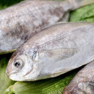 【鮮綠生活】野生肉魚(500g±10%/包 4隻/包 共8包)