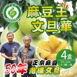 【麻豆王 文旦華】正宗麻豆50年老欉文旦x4箱(5斤±10%/約6-8顆/箱)