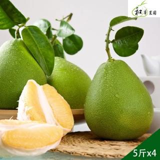 【和華果園-果農直送-中秋禮盒】台南麻豆老欉文旦-5斤x4箱(8/18開始依序出貨)