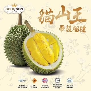 【Gold Thon】馬來西亞液態氮貓山王帶殼榴槤A果1.5~1.8KG*1顆(液態氮帶殼貓山王禮盒裝)
