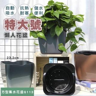 【fioJa 費歐家】園藝植作 G113-方型集水花盆 仿金屬(園藝植作懶人花盆 集水 花盆)