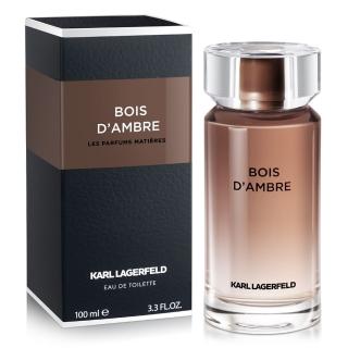 【KARL LAGERFELD 卡爾】古木琥珀男性淡香水100ml(原廠公司貨)