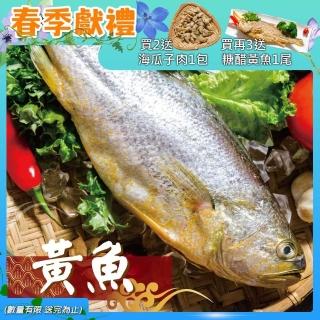 【鮮綠生活】富貴大黃魚45(450g±10%/包 共5包)