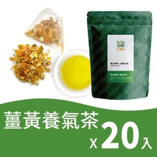 【Hoiis好集食】薑黃蘋果鳳梨養氣養生茶4.5gx10入x2袋(不含咖啡因)