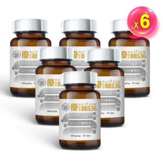 【台灣康田】優益菌BB536(6入組)