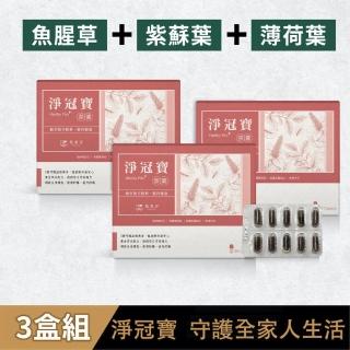 【植靠淨SPOTLESS】淨冠寶膠囊-魚腥草配方3盒組(即期良品-效期2025.06.01)