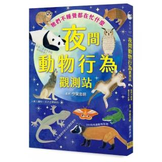 夜間動物行為觀測站：牠們不睡覺都在忙什麼