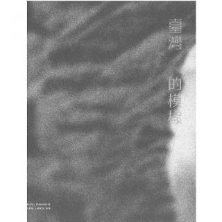 臺灣的模樣