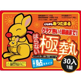 太陽家族發熱貼(30片)