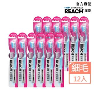 【麗奇】14°牙周對策牙刷12入(敏感專用軟毛)