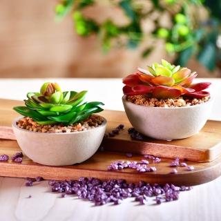 【YU Living 信歐傢居】仿真迷你多肉植物裝飾盆栽二件組 人造植物(二件一組/2色/赭紅色/綠色)
