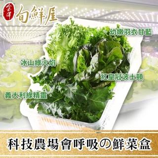 【金澤旬鮮屋】科技農場の呼吸鮮蔬菜盒6盒(150g/盒)