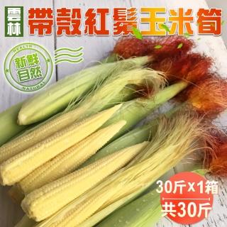 【禾鴻】新鮮自然帶殼紅鬚玉米筍30斤x1箱(常溫配送)