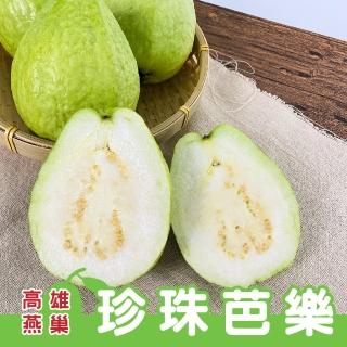 【燕巢綠寶石】珍珠芭樂牛奶芭樂6斤(當日採收當日出貨)