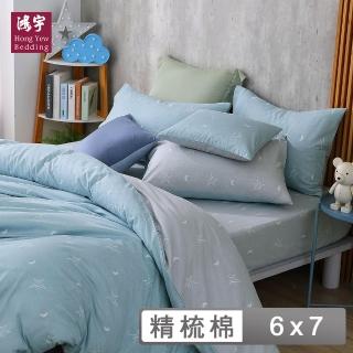 【HongYew 鴻宇】100%精梳棉 薄被套-星月夏(雙人)