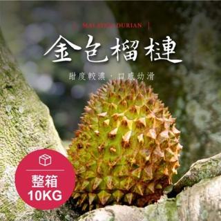 馬來西亞-金包榴槤 帶殼液態氮冷凍D13 10kg/箱(水產優、金包榴槤、榴槤、帶殼榴槤)