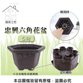 【蔬菜工坊】忠興六角花盆 5吋(加厚材質)