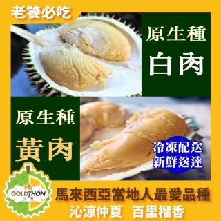 【Gold Thon】馬來西亞砂勞越原生種榴槤果肉盒裝400公克*5(榴槤/榴蓮/榴槤冰/馬來西亞榴連)