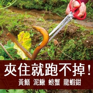 【BO雜貨】60CM 直口 鰻魚 螃蟹 龍蝦夾 黃鱔夾(不銹鋼加長抓蛇鉤 萬用夾 垃圾夾 多種用途夾)