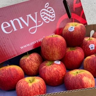 【RealShop 真食材本舖】紐西蘭Envy愛妃蘋果 約9kg/35顆裝 原箱出貨(中秋節禮盒 送禮首選)
