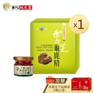 【華陀扶元堂】靈芝龜鹿精9瓶x1盒(贈赤靈芝子實體滋補液6瓶x1盒)